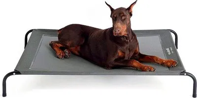 Immagine prodotto di Cuccia per cani di taglia grande - grigia - per interni ed esterni - da campeggio - rialzata - taglia L - 124 x 90 cm - altezza 20 cm