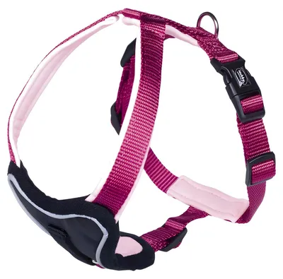 Produktbild von Nobby Classic Preno, Hund, Westengeschirr, L, Nylon, Einfarbig, 60 cm