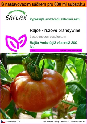 Obrázek produktu pro SAFLAX Garden in the bag - Rajče - růžové brandywine - Lycopersicon esculentum - 10 Semena - S pěstebním substrátem v praktickém samovztyčovacím sáčku