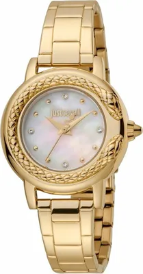 Zdjęcie produktu dla Just Cavalli Uhr Time Modell JC1L151M0065