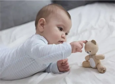 Produktbild von PLAN TOYS Gegliederter Teddybär