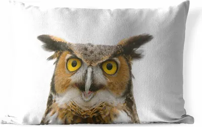 Produktbild von MuchoWow® Outdoor Kissen - Eule - Vogel - Porträt - 60x40 cm - Wetterfest - Lounge Kissen - Zierkissen - Kissen für Innenräume
