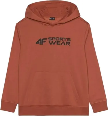 Productafbeelding van Hoodie 4F 4FJWAW24TSWSM1223-64S voor Kinderen