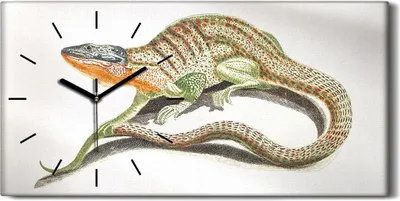 Produktbild von Leinwand Wanduhr Wandkunst Uhr Geräuschlos 60x30 Gemälde Tier Eidechse Kunst - schwarze Hände
