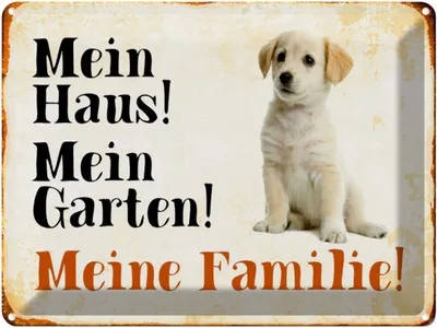 Produktbild von vianmo Blechschild 30x40 cm Hund Labrador mein Haus Garten Familie