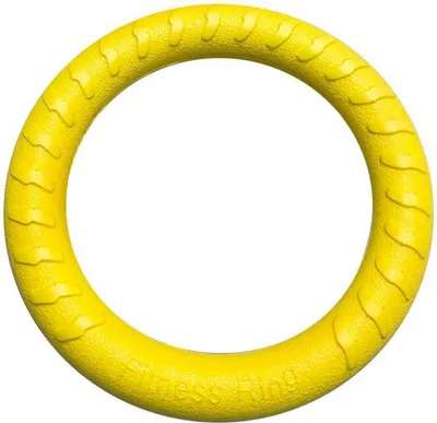 Produktbild von Hundespielzeug, leichtes schwimmendes Kauspielzeug für Haustiere, bissfest, interaktiver Hundetrainingsring für Outdoor-Aktivitäten