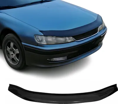 Image de Déflecteur d'insectes de capot pour Peugeot 406 1999-2005 Foncé