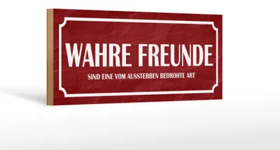 Produktbild von Holzschild Spruch 27x10cm wahre Freunde