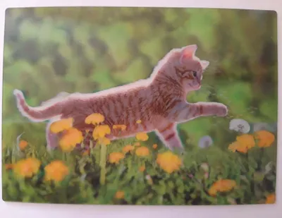 Produktbild von 3 D Ansichtskarte Kätzchen mit Pusteblume, Postkarte Wackelkarte Hologrammkarte, Tier Katze