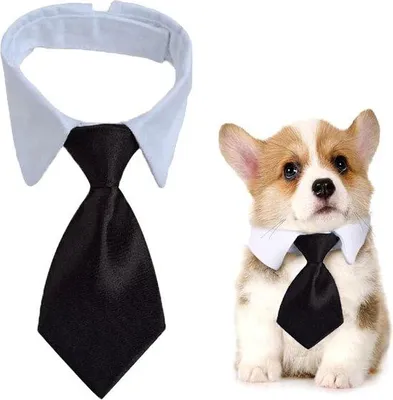 Produktbild von Famanu Hundeschleife verstellbare Hundehalsband mit Klettverschluss - Schwarz, Größe S