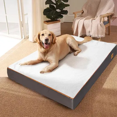 Imagen del producto de Cama ortopédica para perros - Impermeable - Con funda extraíble - Ideal para jaulas y perreras