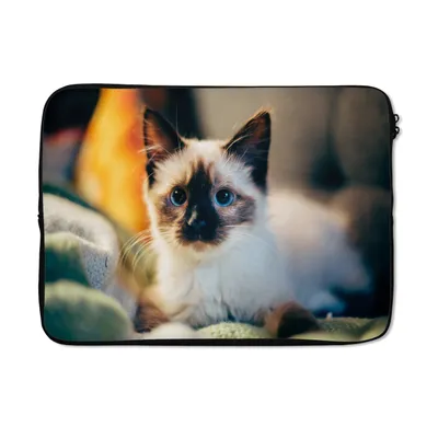 Produktbild von MuchoWow® Laptop Hülle 13 Zoll Katze - Fell - Schwarz Laptoptasche - Laptophülle - Sleeve - Rundumschutz