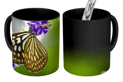 Obrázok produktu pre MuchoWow® Magický pohár Levanduľa - Motýľ - Botanické 350 ml Pohár na zmenu farby Darček Nápad na darček - Foto hrnček