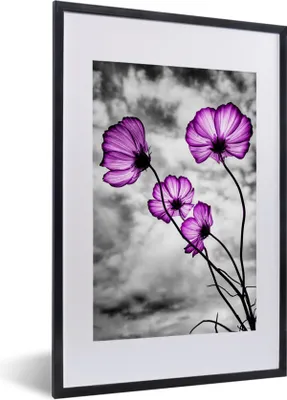 Produktbild von MuchoWow® MuchoWow® Gerahmtes Poster Blumen - Schwarz - Weiß - Lila 40x60 cm - Poster mit zchwarzem Bilderrahmen - Poster in Rahmen