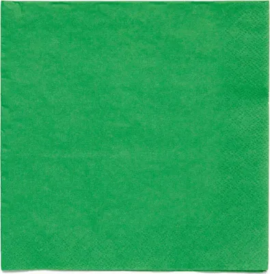 Produktbild von 20 Evergreen Eco Servietten 33cm