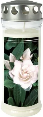 Produktbild von Grabkerze - Gedenkkerze Motiv Gardenia Grablicht
