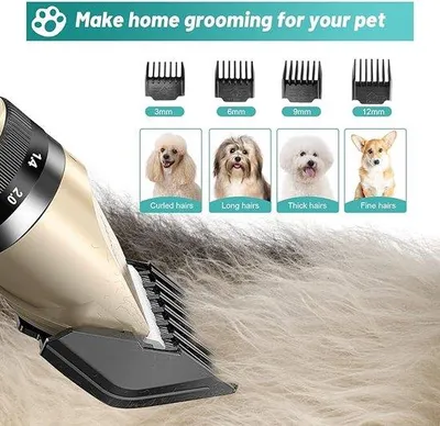 Produktbild von Hundeschermaschine – Pfotenschneidemaschine, leise Hundeschermaschine, Pfotenschneidemaschine für Hunde, Katzen, Pfoten, Augen, Ohren, Gesicht
