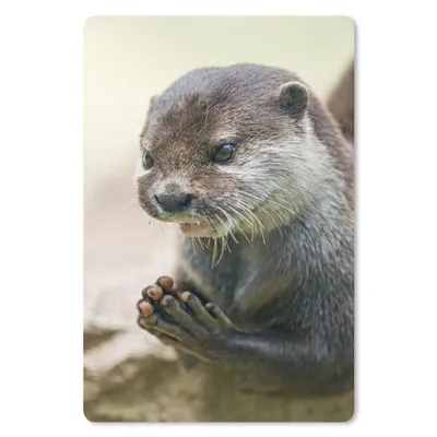 Produktbild von MuchoWow® Mauspad Mousepad Ein Otter mit zusammengelegten Beinen 18x27 cm - Mousepads - Maus Mat - Pad - Mausunterlage