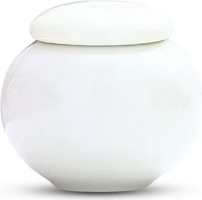 Produktbild von Elegante Mini Urne für die Aufbewahrung von 100 ML Asche - Gedenkurne für Haustiere und Menschen - Weiß