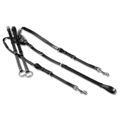 Produktbild von Waldhausen Vorderzeug mit Elastic, Größe:Pony, Farbe:schwarz
