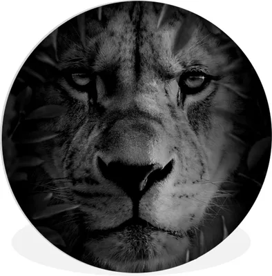 Produktbild von MuchoWow® Rundes Wandbild - Runde Bilder Tiere - Löwe - Natur - Schwarz - Weiß Ø 30 cm Kreis Wanddekoration Kunststoff - Wandkreis - Wandschmuck - Schlafzimmer - Bilder - Der Kreis - Kunst für die Wohnung - Plastik - Kunstdruck - Wandbild