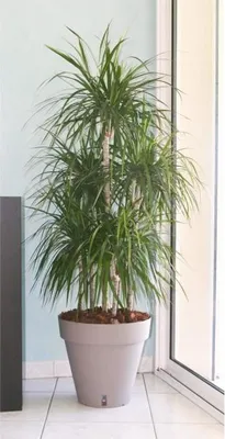 Obrázek produktu pro Květináč RIVIERA Loft Rond, Ø 49 x V 45 cm, taupe, s nádržkou na vodu, pro vnitřní i venkovní použití