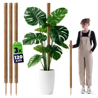 Produktbild von Pflanzenstütze Kletterstab - Kokosfaser Rankhilfe für Monstera - 3er Set - 120 cm Länge - Ø 45 mm