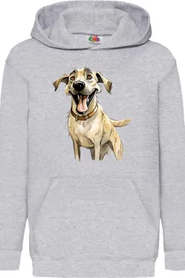 Obrázok produktu pre Detská Mikina S Kapucňou Funny Dogs Breeds Kangal Dog Breed, 7-8 Jahr - 128 / Heather šedá