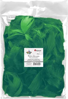 Produktbild von Dekofedern 16g, 5-12 cm TItanum Dunkelgrün