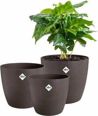 Image de Set de pots de fleurs Elho plastique rond 3 pièces