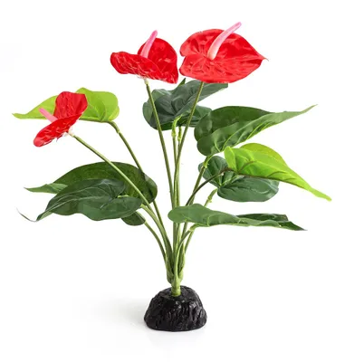 Zdjęcie produktu dla Repti-Zoo roślina sztuczna - Anthurium