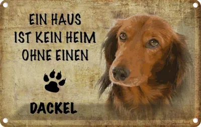 Produktbild von vianmo Blechschild 20x30 cm Dackel Hund ohne kein Heim Tier Haustier
