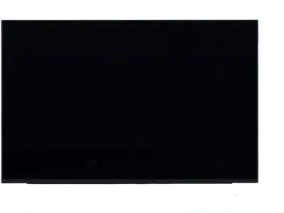 Produktbild von Lenovo 16,0" WUXGA IPS matter Laptop-Bildschirm, 5D10V82440