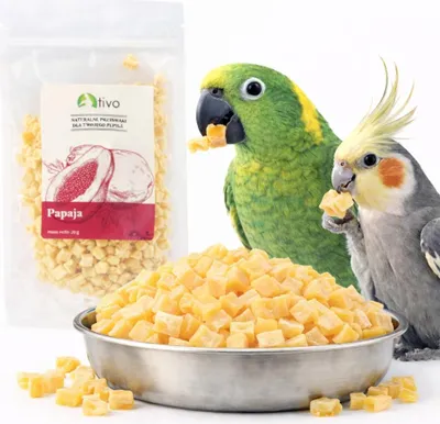 Obrázek produktu pro Křupavá lyofilizovaná papája pro papoušky – přírodní ovocná pochoutka | 20 g