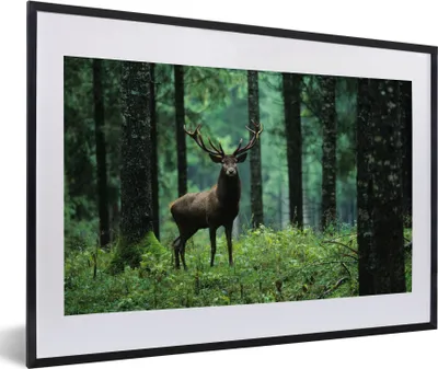 Produktbild von MuchoWow® Gerahmtes Poster Hirsche - Wald - Bäume - Tiere - Natur 60x40 cm - Poster mit Schwarzem Bilderrahmen Wandposter Rahmen Foto Bilder - Schlafzimmer - Plakat in Rahmen - Drucken