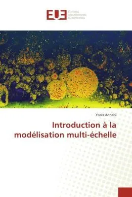 Produktbild von Introduction à la modélisation multi-échelle
