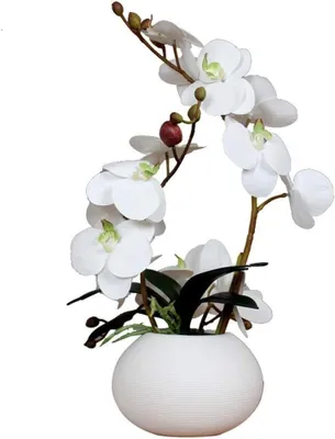 Image de Orchidée artificielle - Fleur de népenthès - Décoration intérieure - Pot en céramique - 23x40 cm - Blanc
