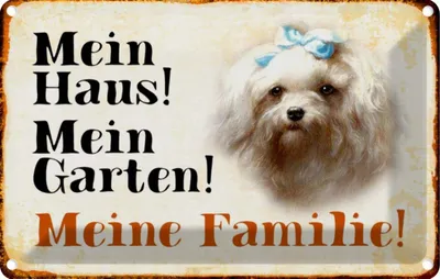Produktbild von vianmo Blechschild 12x18 cm Hund Malteser mein Haus Garten Familie Tier Haustier