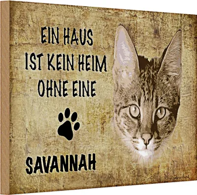 Produktbild von Holzschild Spruch 30x20cm Savannah Katze ohne kein Heim