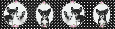 Produktbild von A.S. Création Bordüre Little Stars schwarz lila 5,00 m x 0,13 m 358501 35850-1