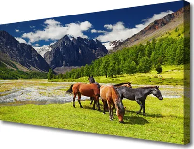 Produktbild von Tulup Leinwand-Bilder 100x50 Wandbild Canvas Kunstdruck Gebirge Bäume Pferde Tiere