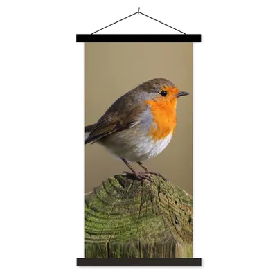 Produktbild von MuchoWow® Textilposter Vogel - Rotkehlchen - Holz 60x120 cm mit schwarzem Rahmen - Magnete