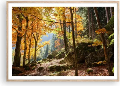 Produktbild von Gerahmtes Poster - Rahmen in heller Eiche - Herbst berg wald natur - 100x70 cm - Wand Bild - Wanddeko - Wandbilder - Wandposter - Bilderrahmen - Bilder - Kunstdruck - Wandbild - P2NAA100x70-2713