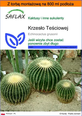 Zdjęcie produktu dla SAFLAX - Garden in the bag - Krzesło Teściowej - 40 Nasiona - Z podłożem uprawowym w praktycznej, samorozkładającej się torbie - Echinocactus grusonii