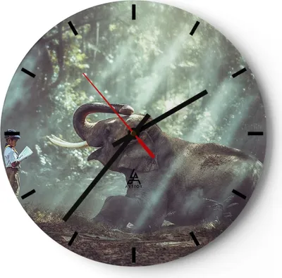 Produktbild von Wanduhr - Rund - Glasuhr - Elefant Dschungel Stoßzahn - 40x40cm - Schleichendes Uhrwerk - Lautlos - zum Aufhängen bereit - Dekoration Modern - Wanddekoration aus Glas - C3AR40x40-3486