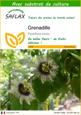 Image de SAFLAX  - Grenadille - 40 graines - Avec substrat - Passiflora