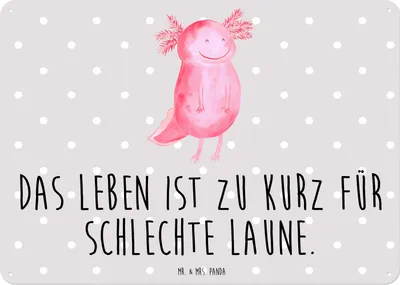 Produktbild von Mr. & Mrs. Panda tafel Axolotl Glücklich DIN A3 - Grau Pastell - Geschenk, Lurch, Blechschild, Wandbild, gut Gelaunt, Schild, Metallbild, Lebensfroh, Motivationsspruch