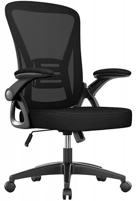 Image de Chaise de bureau ergonomique X24F00K223, soutien lombaire, noire