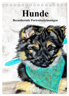 Produktbild von Hunde - Bezaubernde Portraitzeichnungen (Tischkalender 2027 DIN A5 hoch), CALVENDO Monatskalender