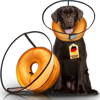 Image de Collier gonflable pour chien, 2-en-1, protection contre les léchages après une opération, taille 4, couleur orange